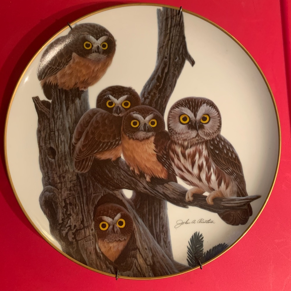 John Ruffin Limited edition saw whet owl plate